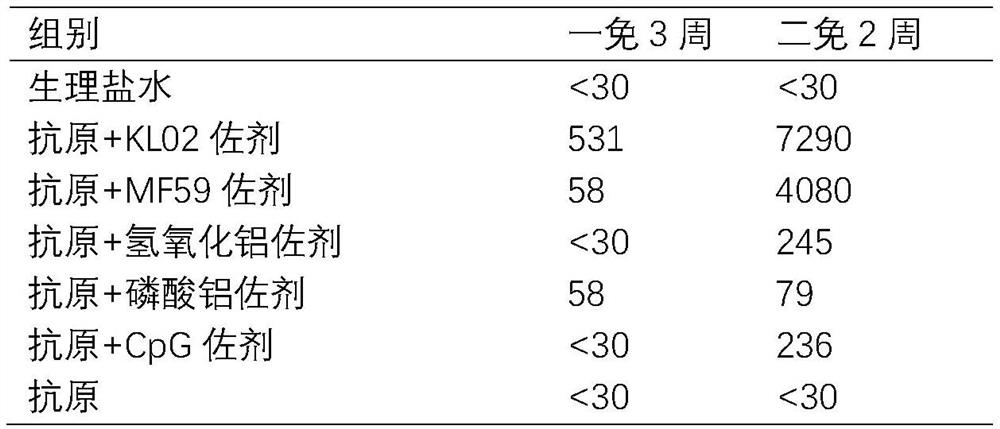 Adjuvant of novel coronavirus vaccine, application of adjuvant and novel coronavirus bivalent recombinant vaccine