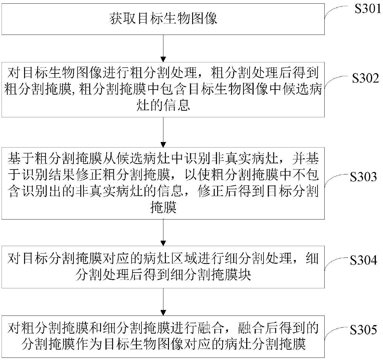 Method, device, equipment for segmentation of lesion in biological image and storage medium