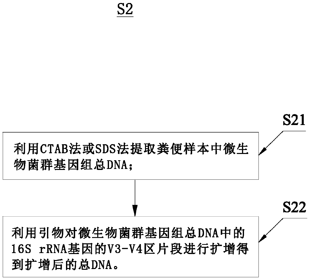 Detection and analysis method and system for intestinal microbial florae