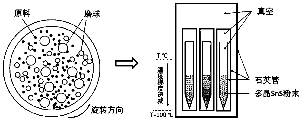 N-type SnS single crystal thermoelectric material and preparation method thereof