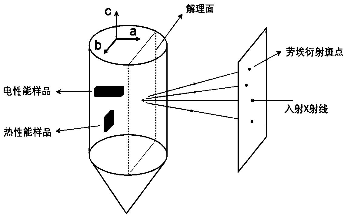 N-type SnS single crystal thermoelectric material and preparation method thereof