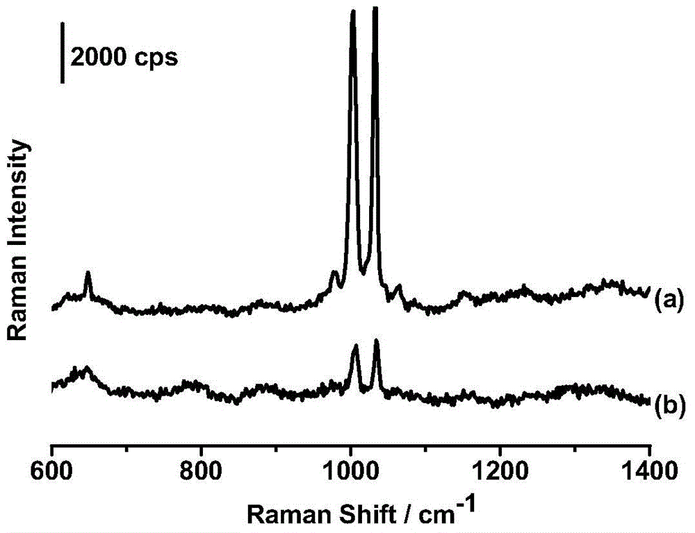 Silicon dioxide plated nanometer particle pinhole filling method