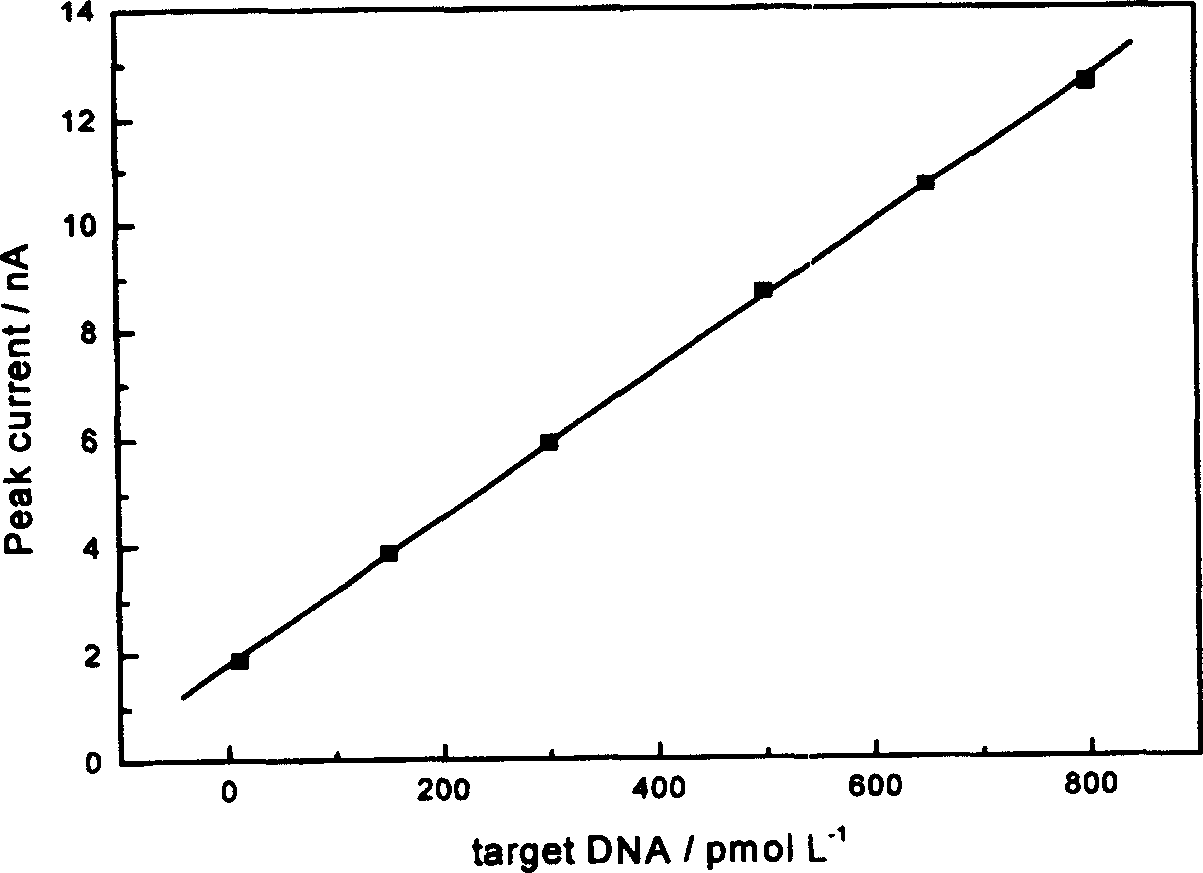 Preparation method of deoxyribonucleic acid electrochemical nanometer sensor