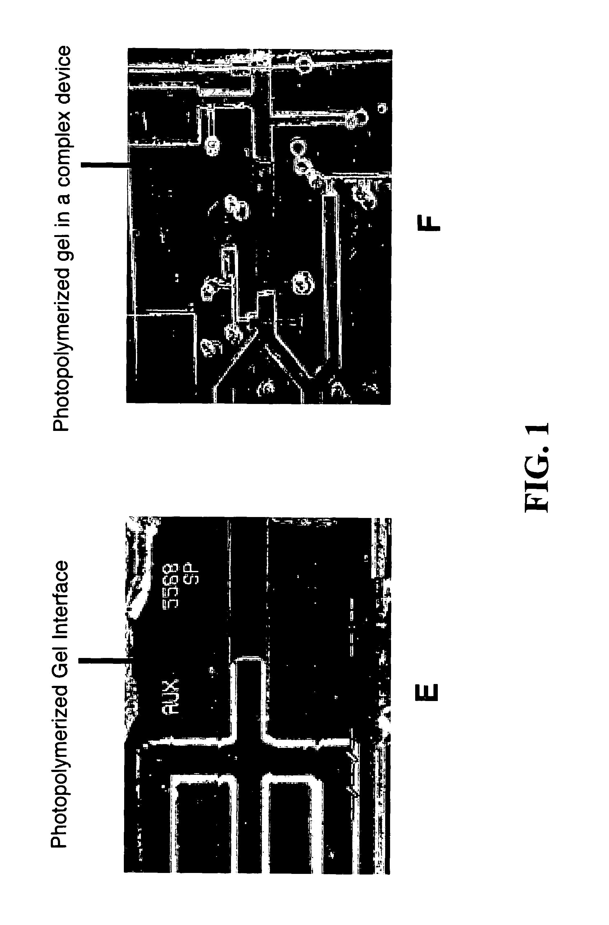 Electrophoresis in microfabricated devices using photopolymerized polyacrylamide gels and electrode-defined sample injection