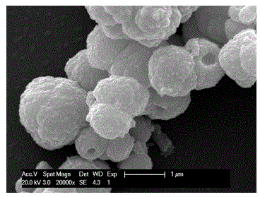 Cadmium sulfide photocatalyst with high photocatalytic activity and preparation method thereof