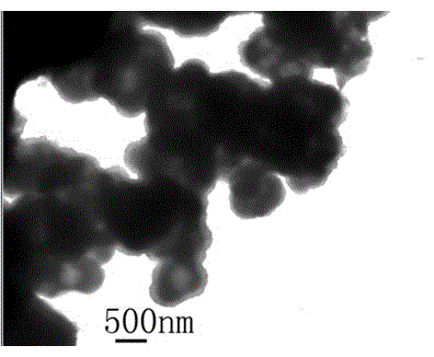 Cadmium sulfide photocatalyst with high photocatalytic activity and preparation method thereof