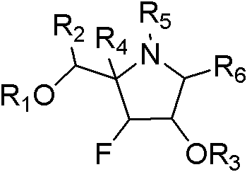 Fluoro polyhydroxy pyrrole pyrrolizidine, and preparation method and application thereof