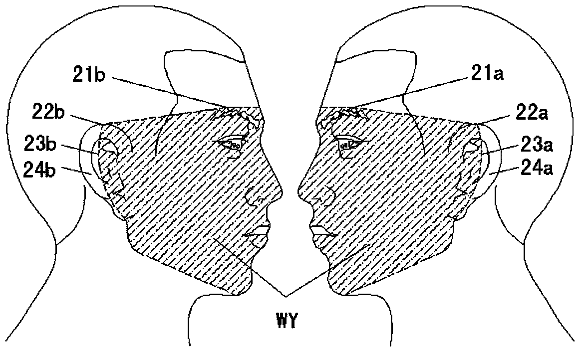 Sleeping pillow and noon break pillow for enabling facial nerve, trigeminal ganglion and auricle to be free from squeezing