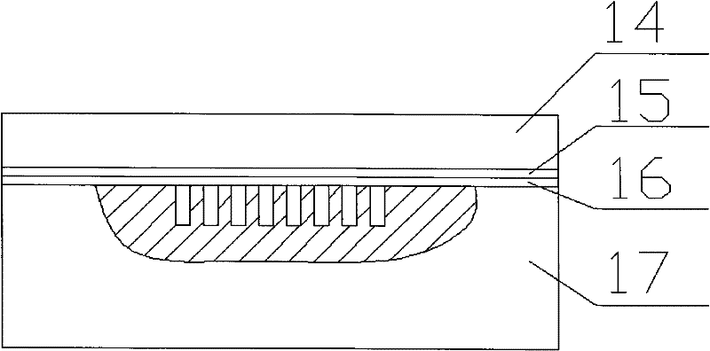 Laser direct-compounding micro-plastic forming device and method