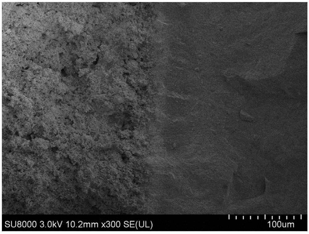 Solid oxide fuel cell based on semiconductor junction effect and preparation method of solid oxide fuel cell