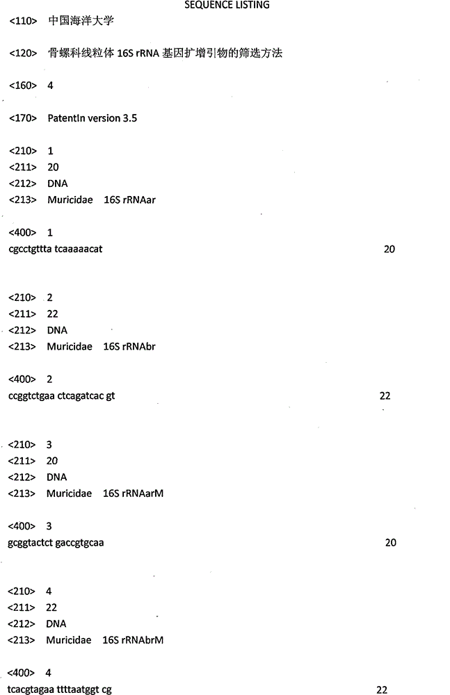 Muricidae mitochondria 16s rRNA gene amplification primer