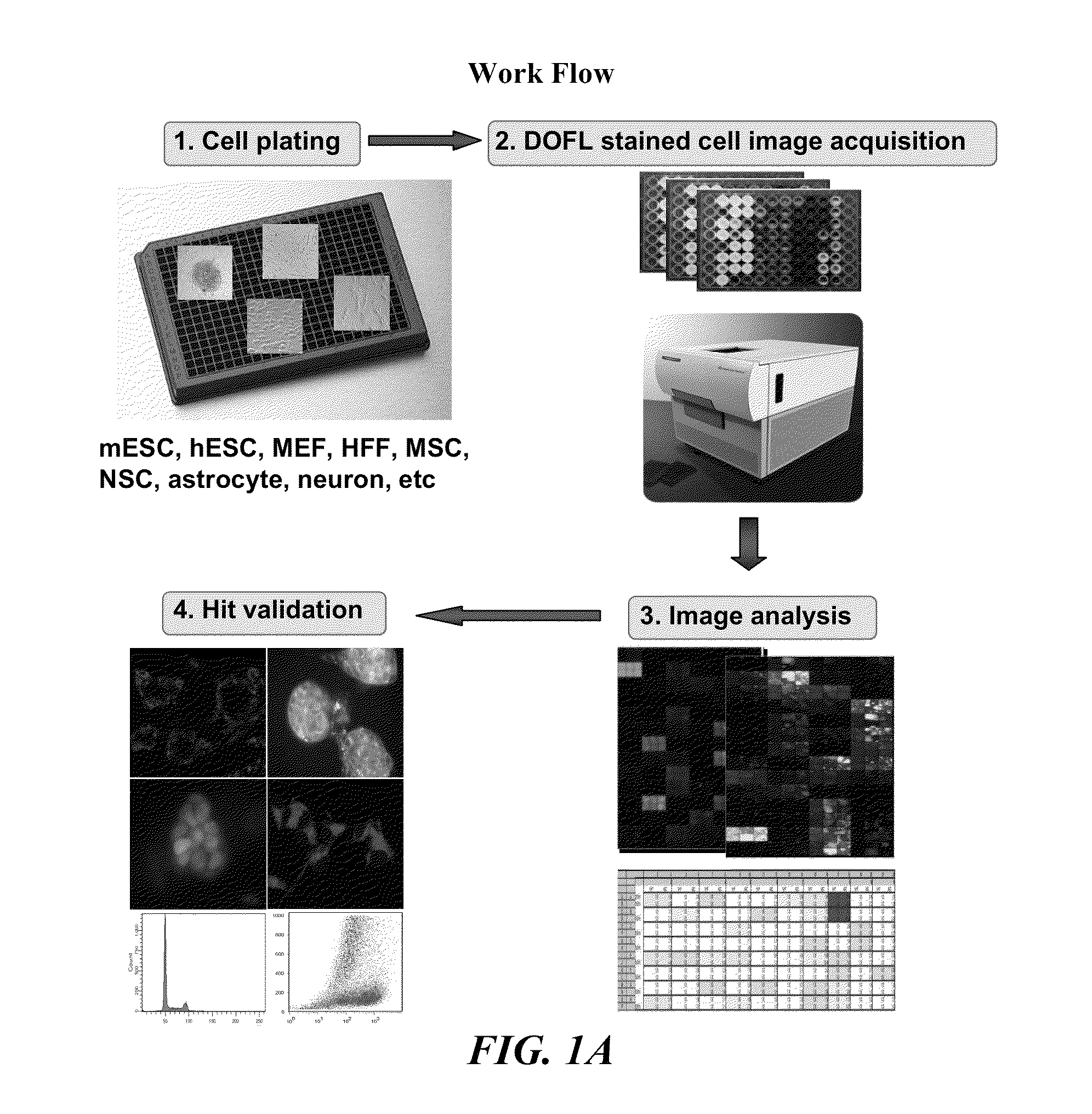 Methods for detecting embryonic stem cells, induced pluripotent stem cells, or cells undergoing reprogramming to produce induced pluripotent stem cells