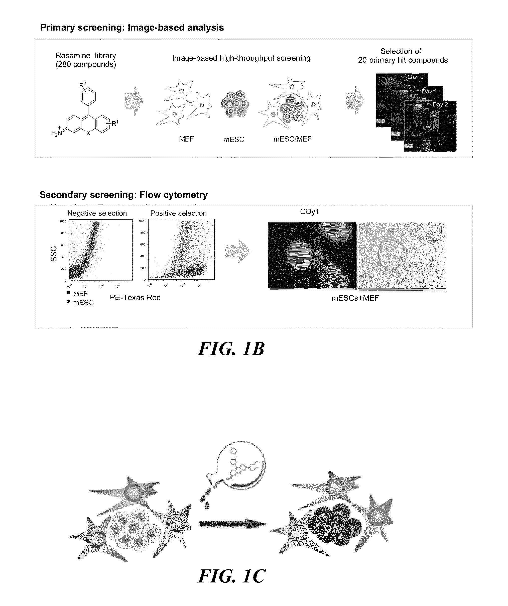 Methods for detecting embryonic stem cells, induced pluripotent stem cells, or cells undergoing reprogramming to produce induced pluripotent stem cells