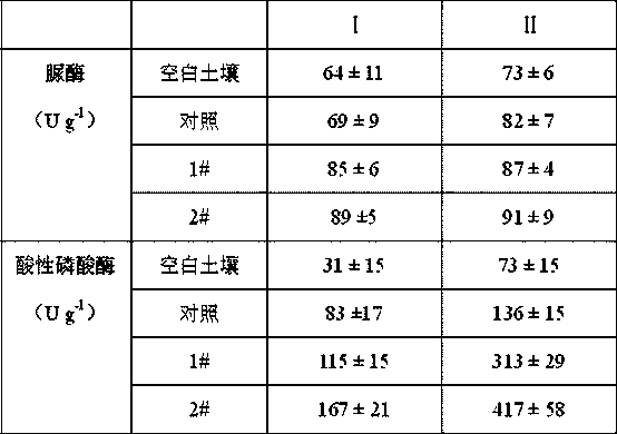 Method for improving heavy metal polluted soil by ectomycorrhizal fungus assisted pinus thunbergii