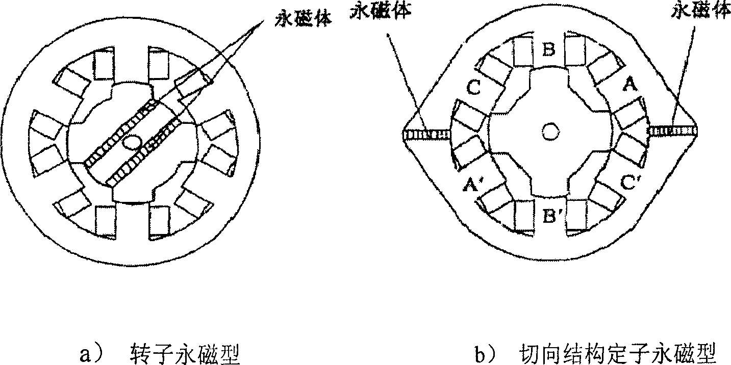 Halbach double-salient pole electrical motor