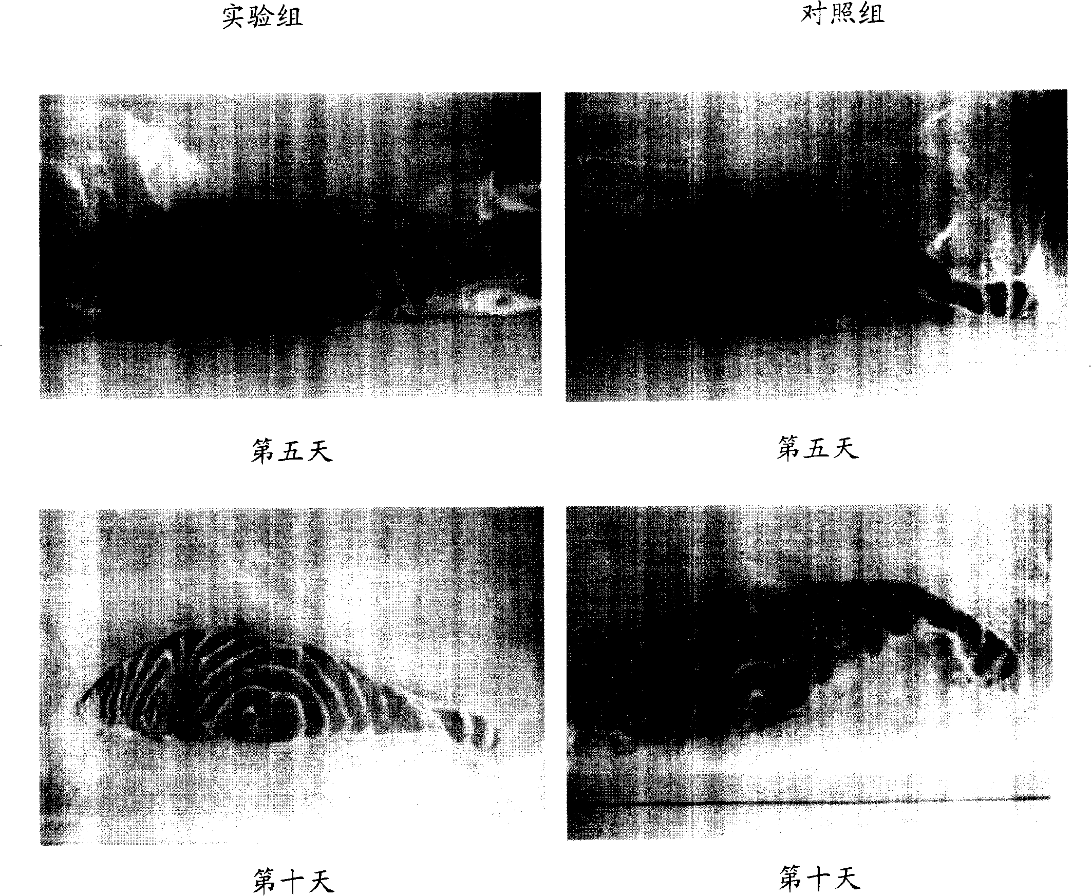 Fresh-keeping article containing nano silver, method of preparing the same and use