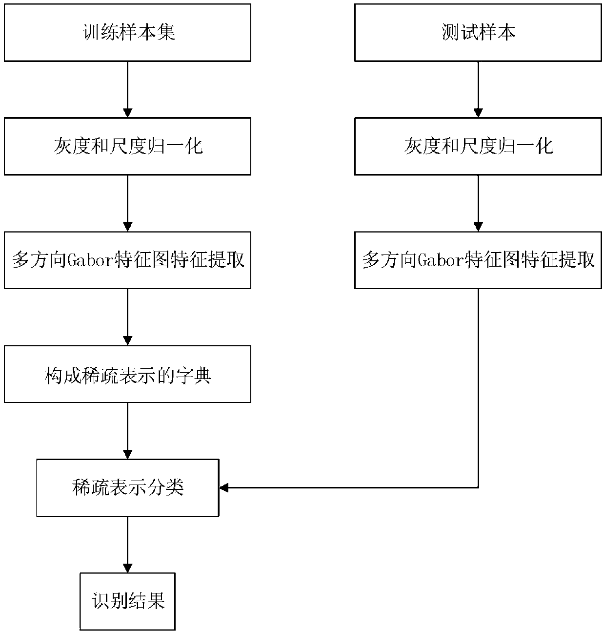 Image sparse representation-based robust human face identification method