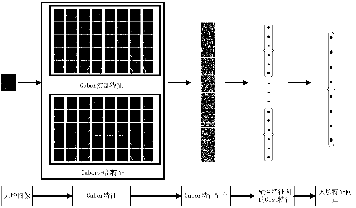 Image sparse representation-based robust human face identification method