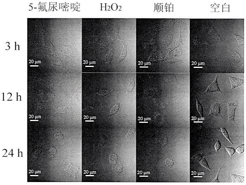 Fluorochrome for cytolysosome positioning and preparation method and application thereof