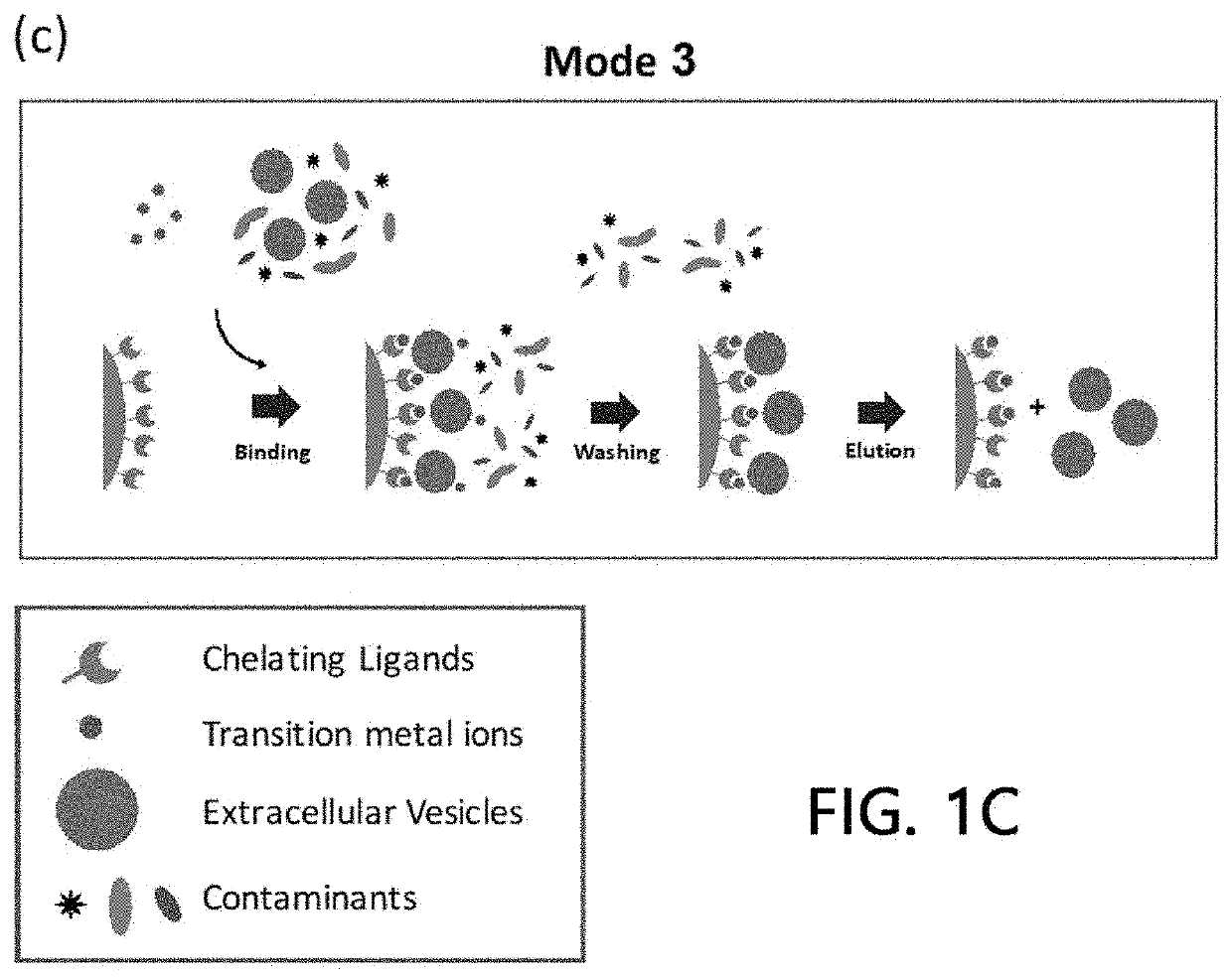 Extracellular vesicle isolation method using metal