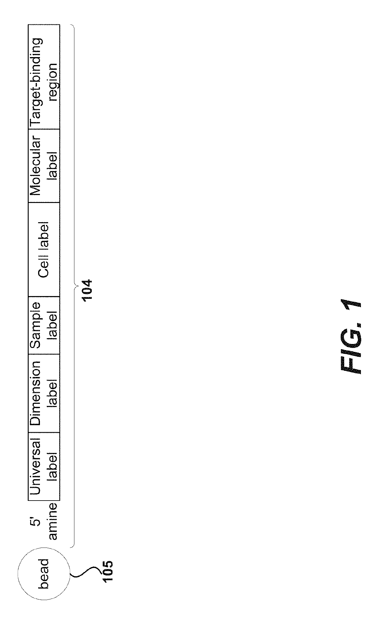 Immune receptor-barcode error correction