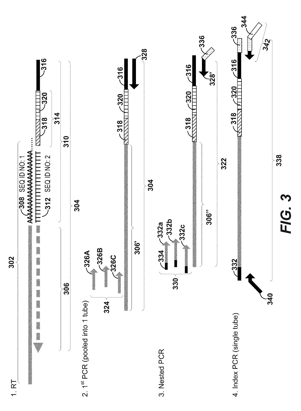 Immune receptor-barcode error correction