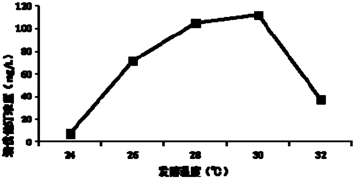 Monascus purpureus strain, and fermentation product thereof and fermentation method thereof