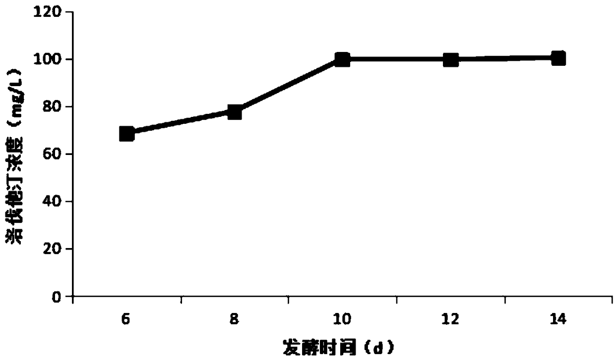 Monascus purpureus strain, and fermentation product thereof and fermentation method thereof