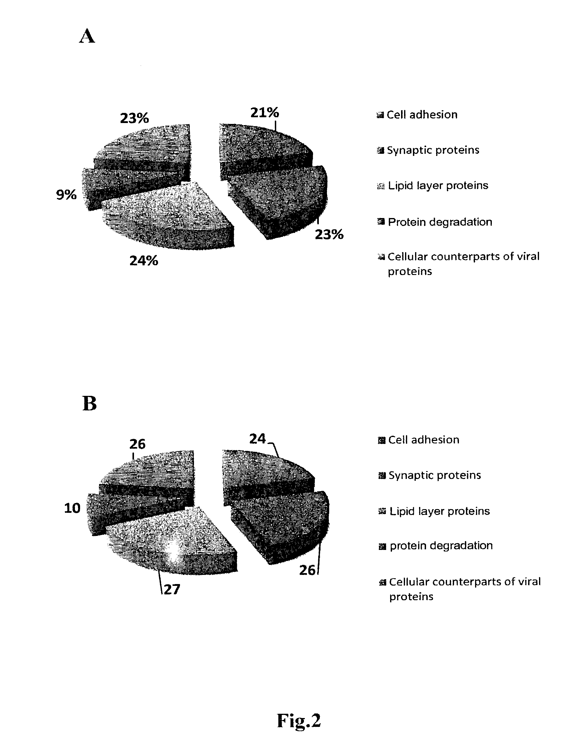 Method of providing monoclonal auto-antibodies with desired specificity