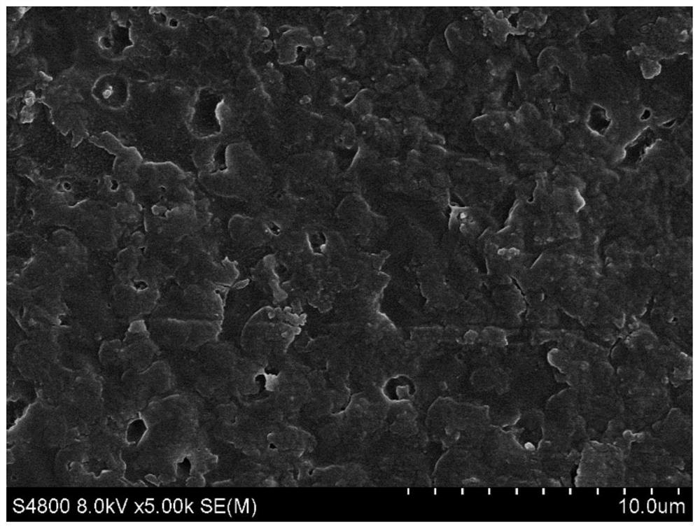 Polyolefin composite film as well as preparation method and application thereof