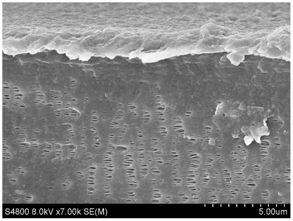 Polyolefin composite film as well as preparation method and application thereof