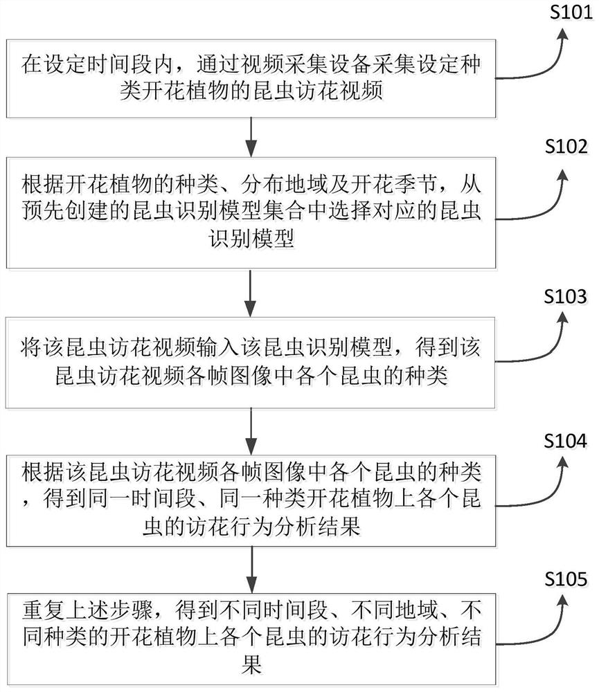 Insect flower visiting behavior analysis method based on machine learning model