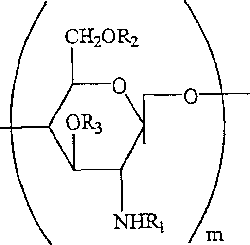 Water soluble, randomly substituted partial N-, partial O-acetylated chitosan, preserving compositions containing chitosan, and processes for making thereof