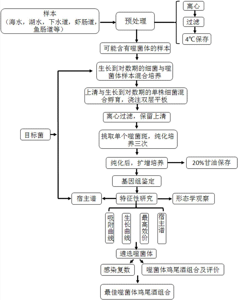 Aeromonas salmonicida phage, bactericidal composition containing aeromonas salmonicida phage and application of aeromonas salmonicida phage and bactericidal composition