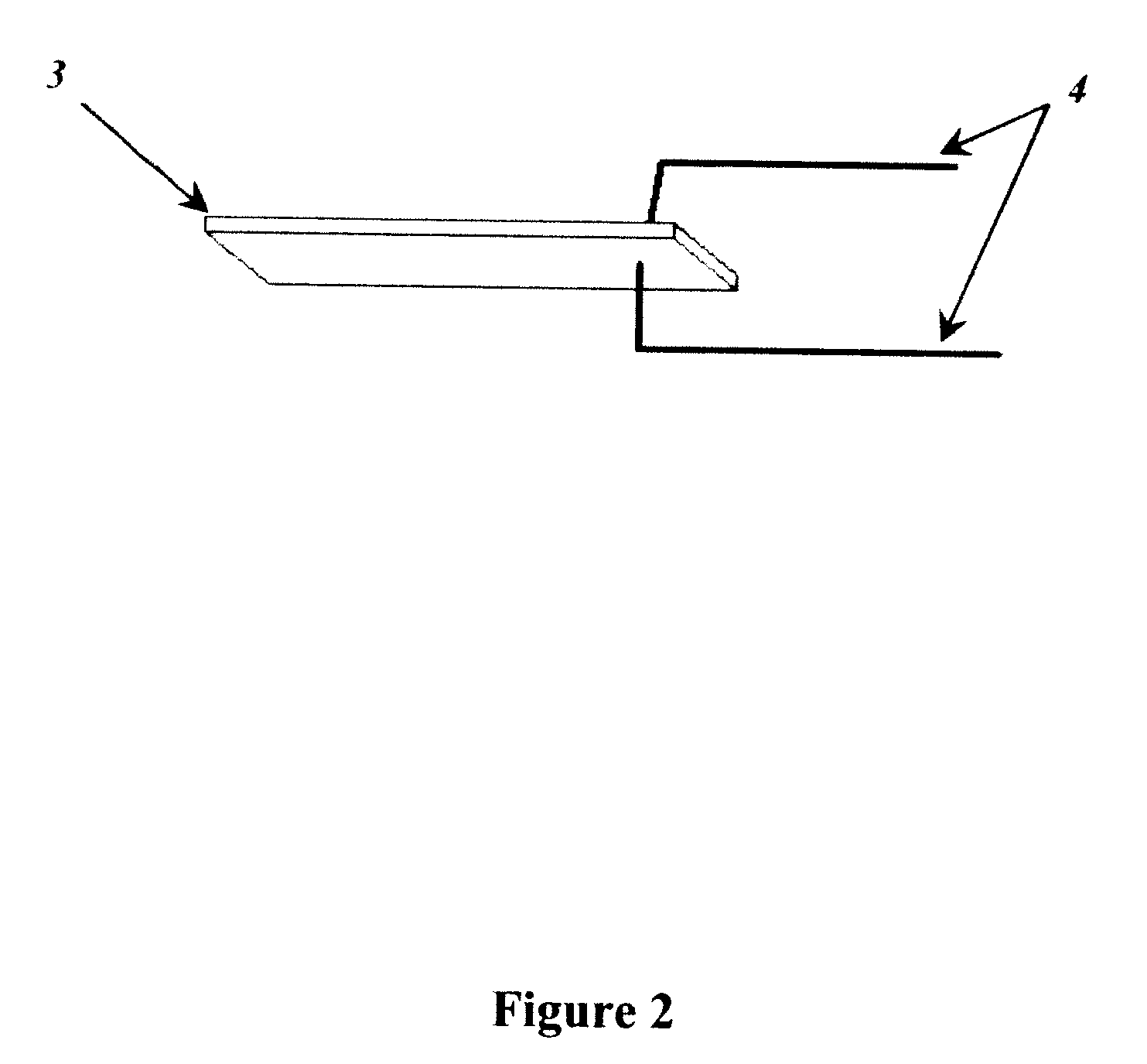 Direct assembly process for fabrication of ionomeric polymer devices