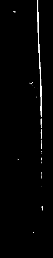 Comprehensive index quantitative detection method by utilizing stride characteristics