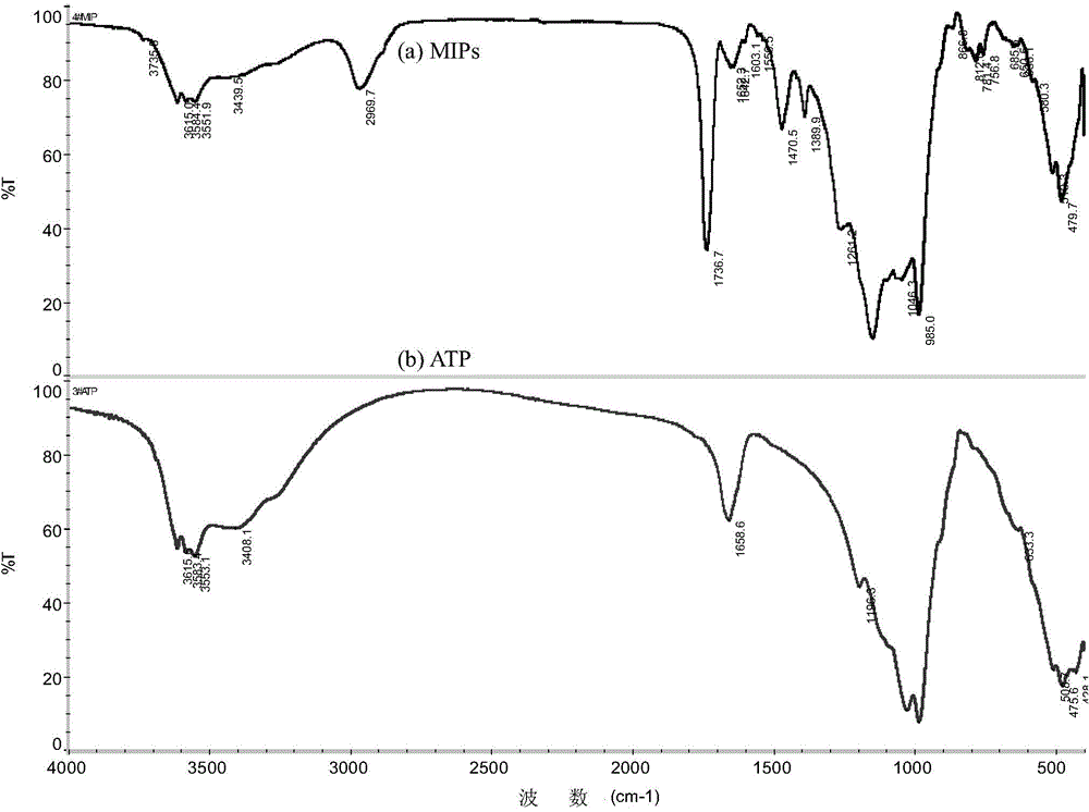 Preparation method of molecularly imprinted material on attapulgite surface modified by silane coupling agent for bisphenol A