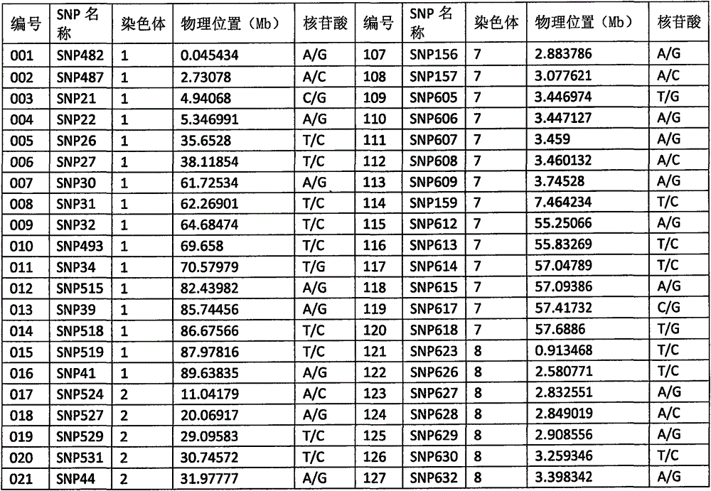 Tomato 212 SNP loci as well as applications thereof to identification of variety authenticity and seed purity of Lycopersicon esculentum