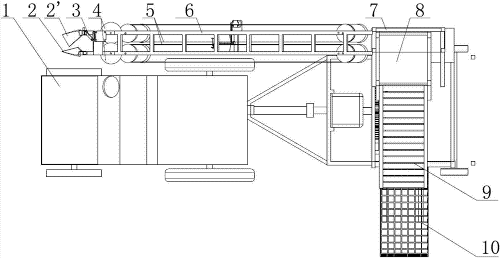 Combined harvester for allium fistulosum