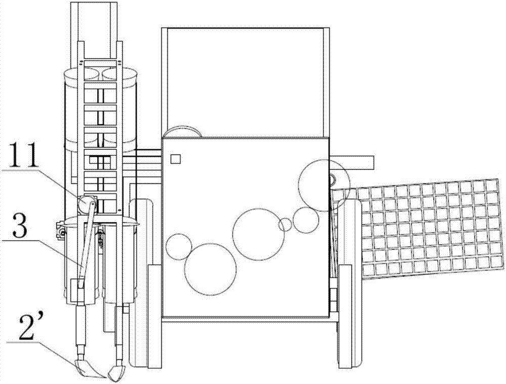 Combined harvester for allium fistulosum