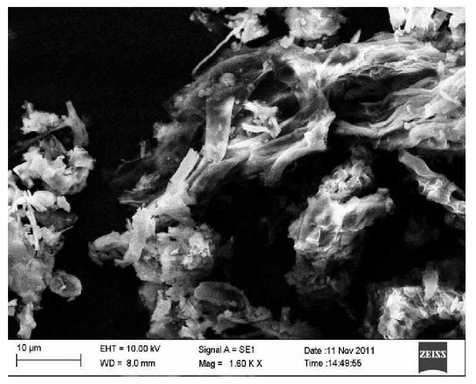 Extract method of cordyceps militaris adenosine