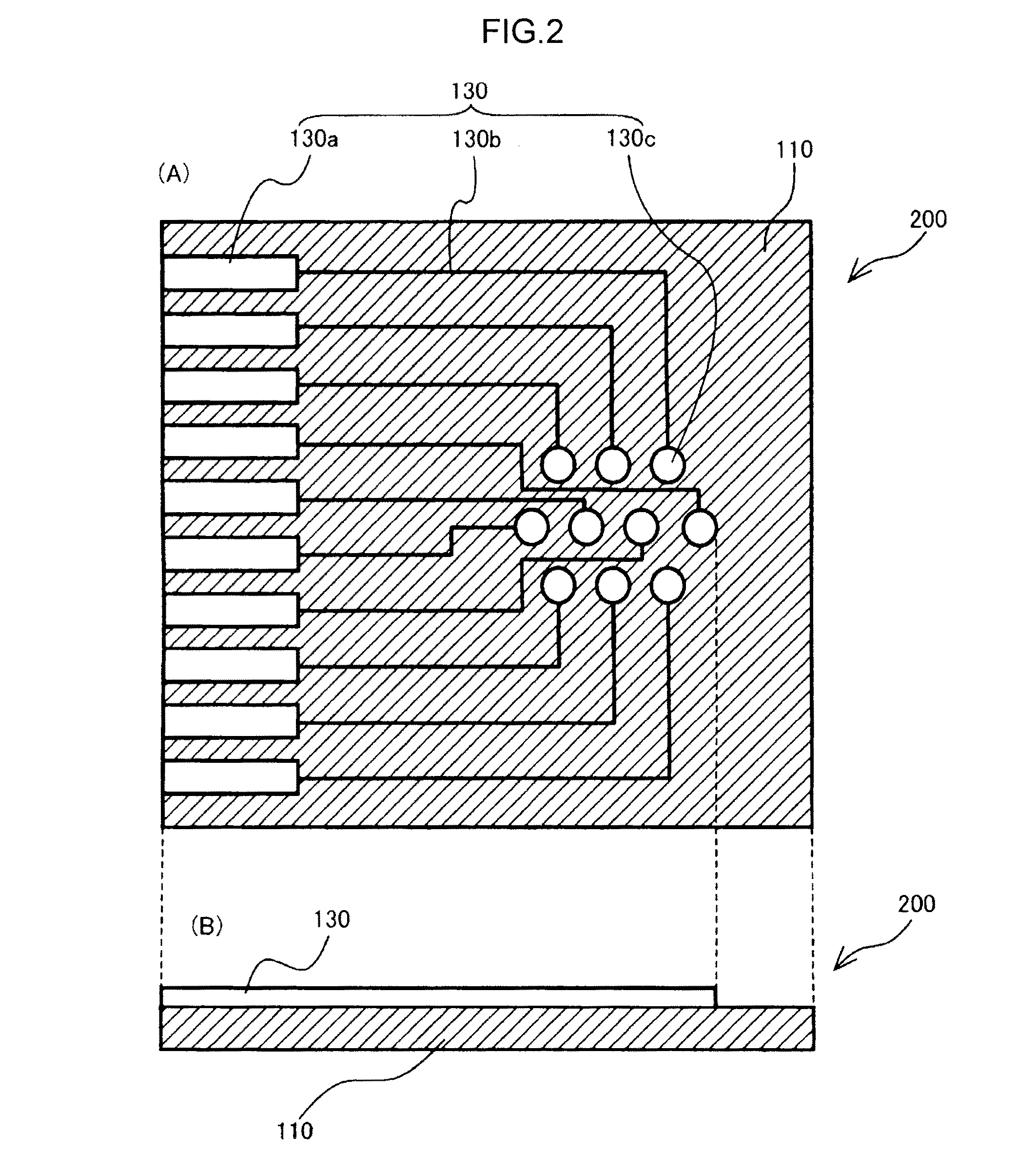 Electrode chip for detecting biological molecule, and method for detecting biological molecule