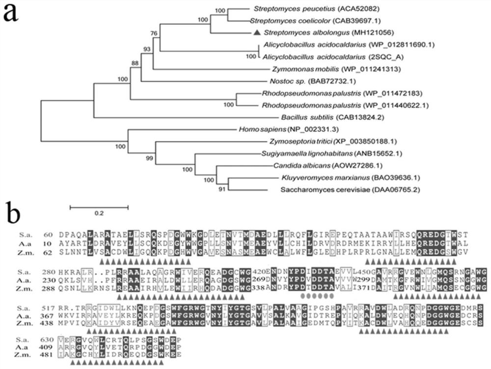 A novel squalene Hopaene cyclase and its application