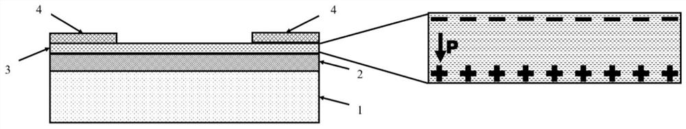 Alpha-indium selenide two-dimensional photoelectric detector based on transparent electrode