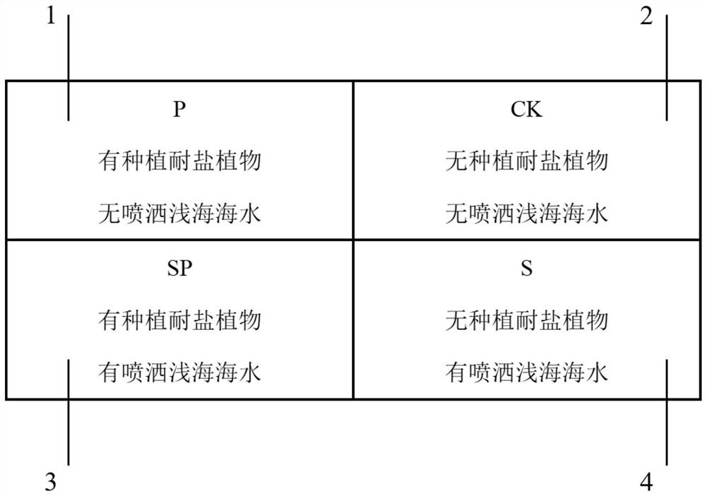 Grass and tree mixed phytoremediation method for coastal saline-alkali soil