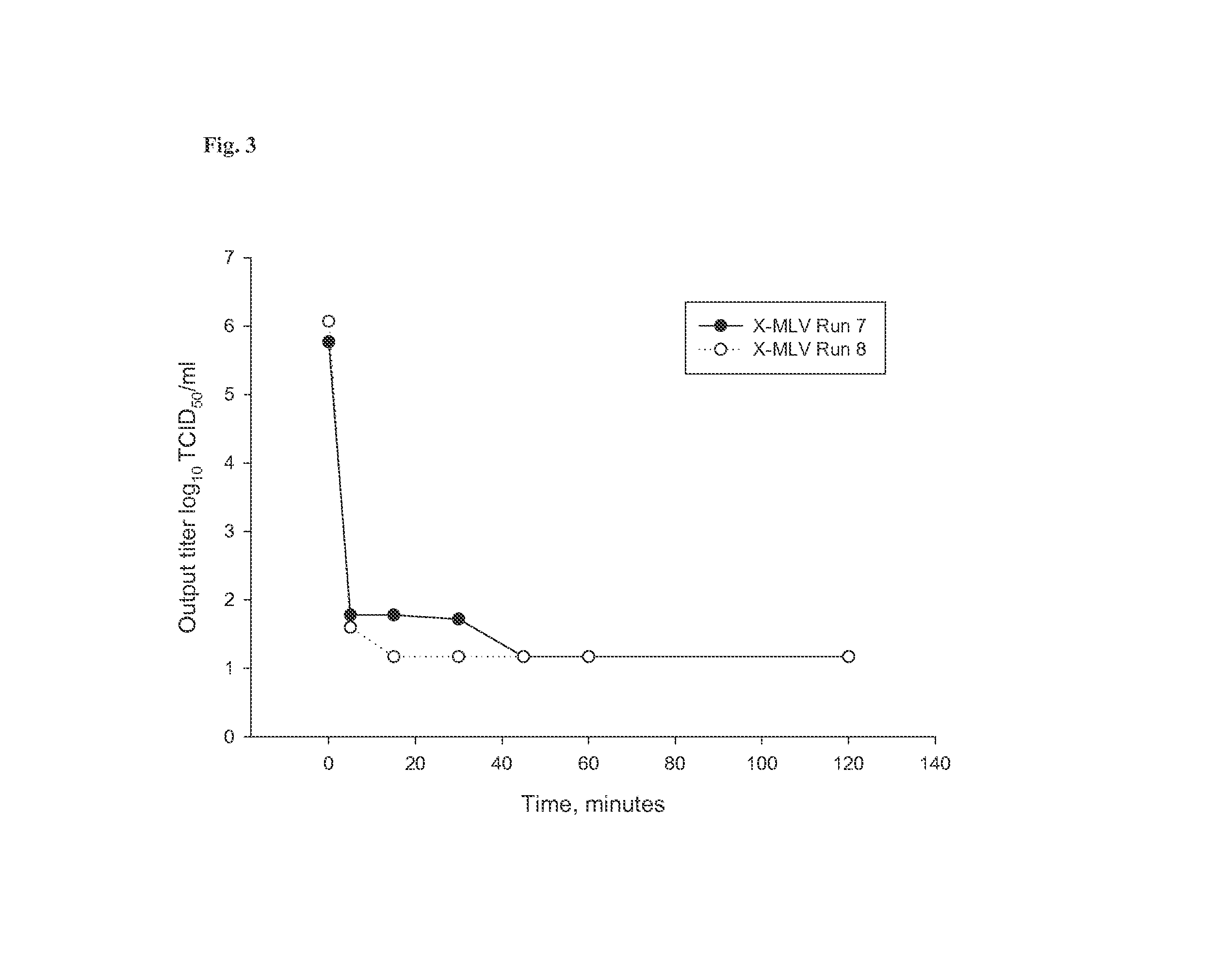 Arginine inactivation of viruses