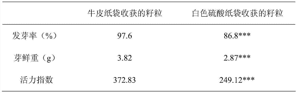 Wheat hybridization bag and application thereof