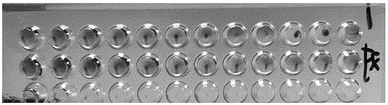 Group I type 4 aviadenovirus strain WZ and application of strain WZ