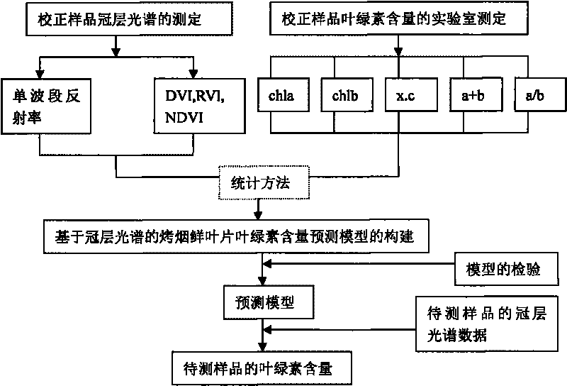 Method for measuring chlorophyll content of fresh tobacco leaf of flue-cured tobacco based on canopy multi-spectra