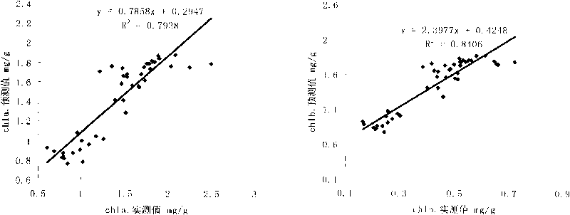 Method for measuring chlorophyll content of fresh tobacco leaf of flue-cured tobacco based on canopy multi-spectra